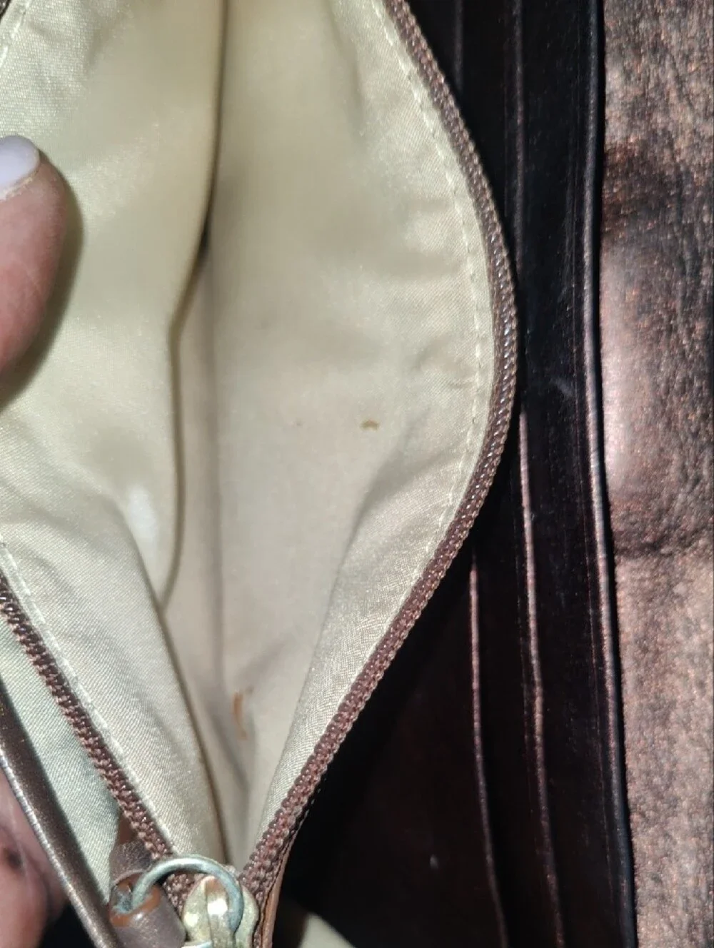 Coach Beige Signature Canvas Continental Wallet • Gold Ring Buckle  (8